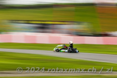 Foto: Zamir Loshi, 30.03.2024, Wohlen AG (CH): Rotax Max Challenge Race 1